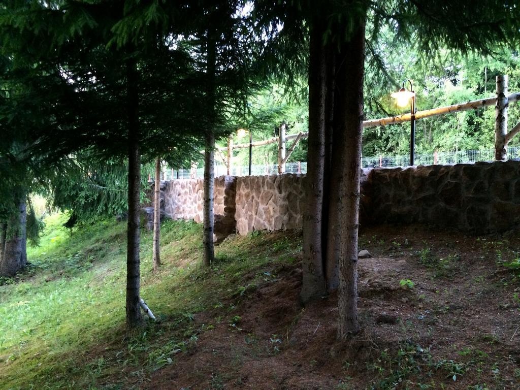Casa Laur Cu Plaja Privata Hotel Kolibica Kültér fotó