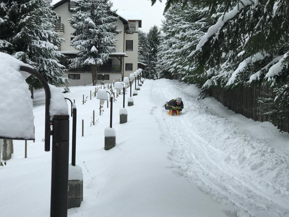 Casa Laur Cu Plaja Privata Hotel Kolibica Kültér fotó